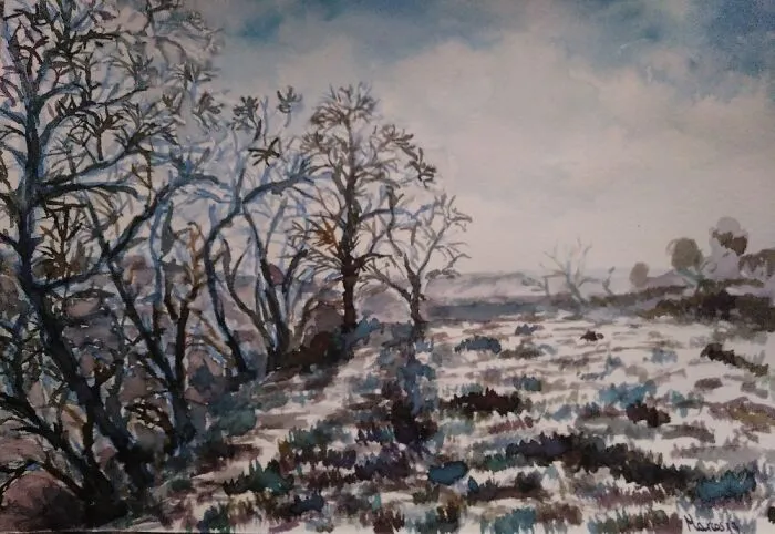 Chilly Early Morning.