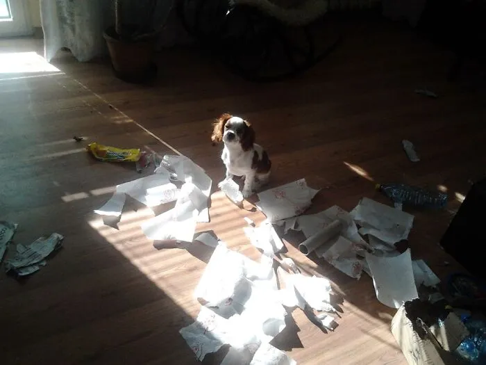 Lucky. I Left The Room For Five Minutes...