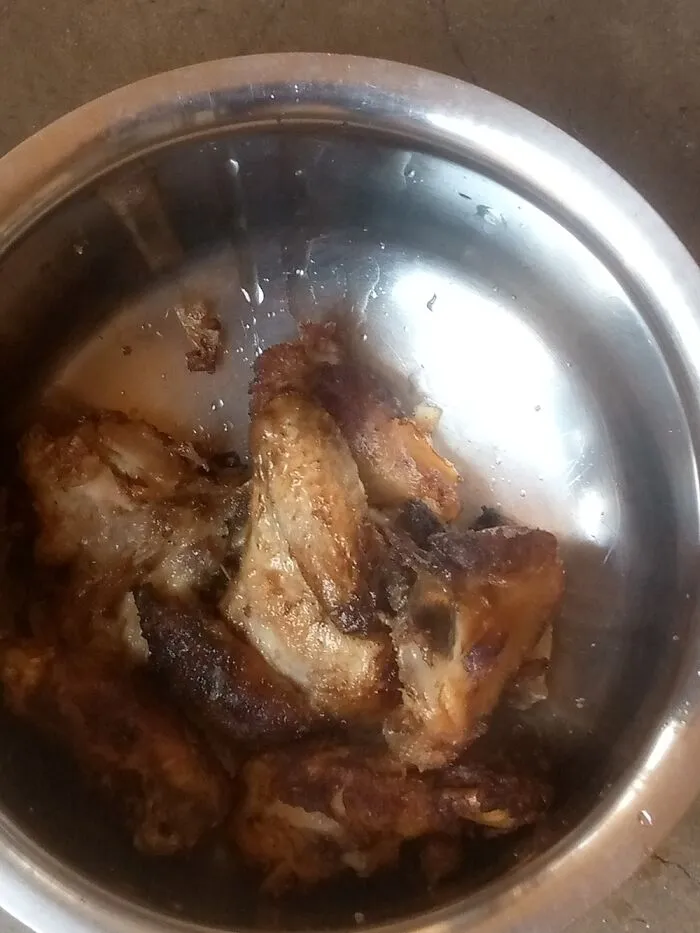 Pieces Of Salmonella