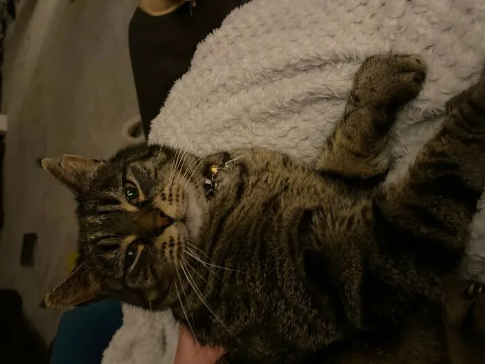 This Is Caesar...