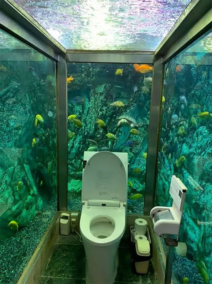 Japanese Loo