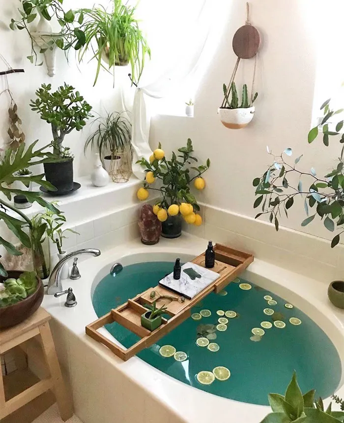 Sunny, Cozy Bathroom