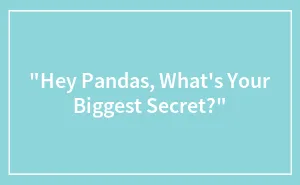 "Hey Pandas, What's Your Biggest Secret?"
