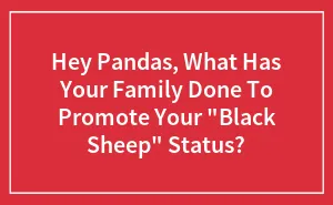 Hey Pandas, What Has Your Family Done To Promote Your "Black Sheep" Status? (Closed)