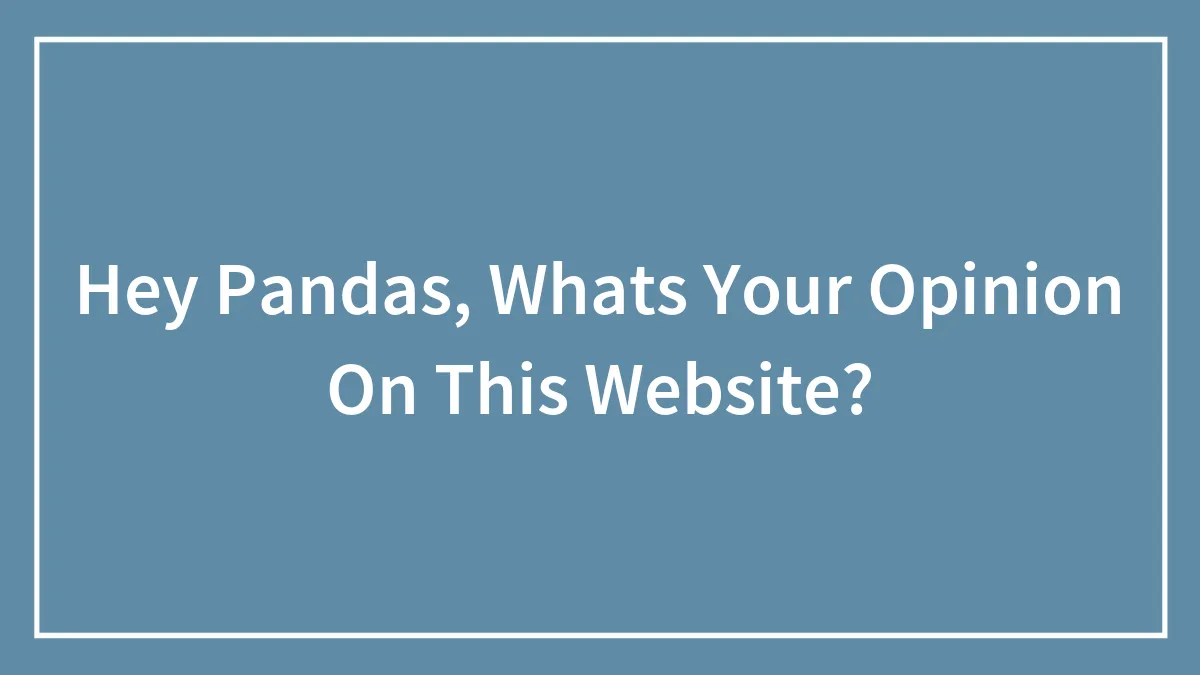 Hey Pandas, Whats Your Opinion On This Website? (Closed)