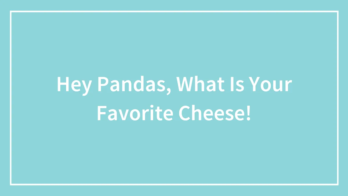 Hey Pandas, What Is Your Favorite Cheese!