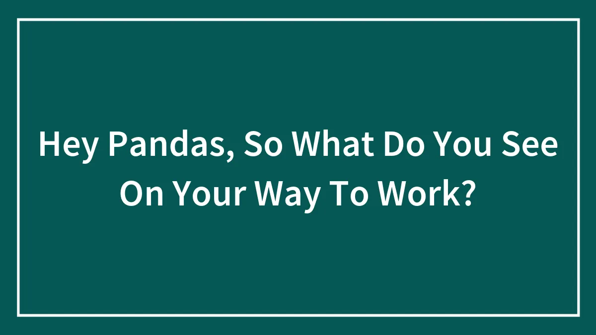Hey Pandas, So What Do You See On Your Way To Work?