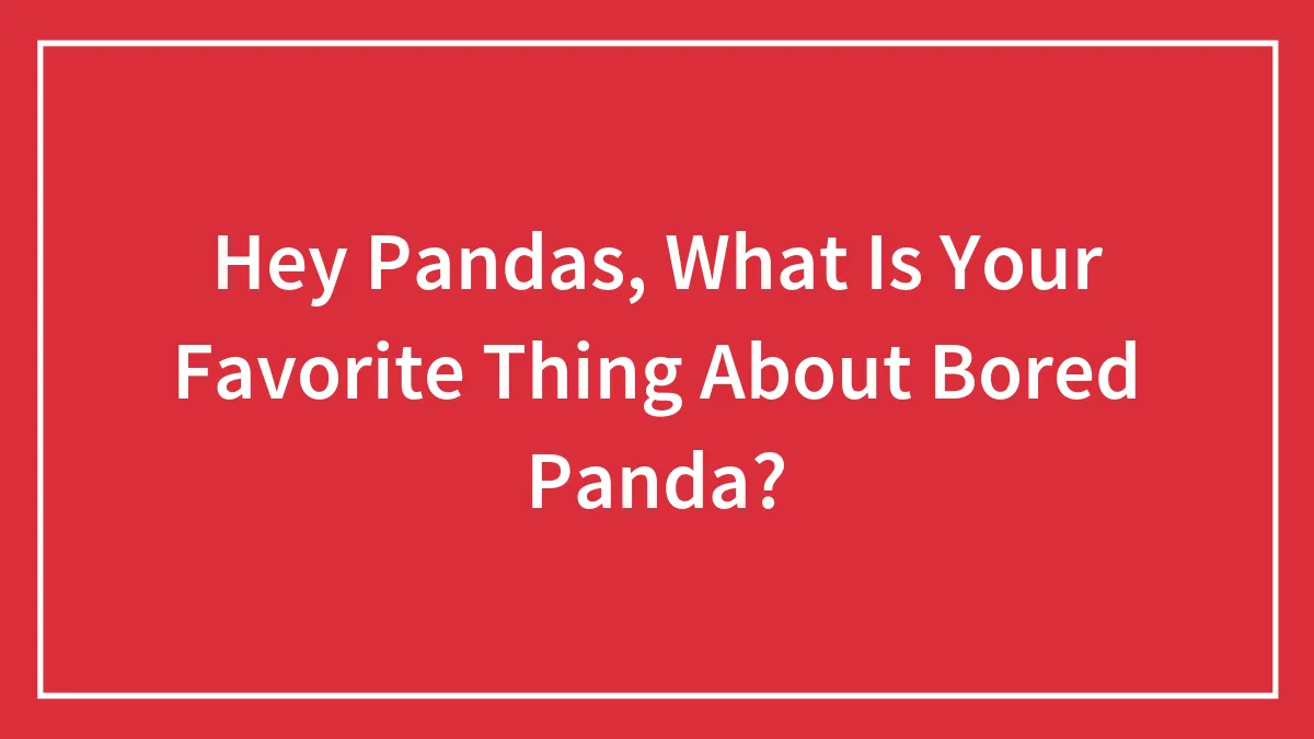 Hey Pandas, What Is Your Favorite Thing About Bored Panda? (Closed)