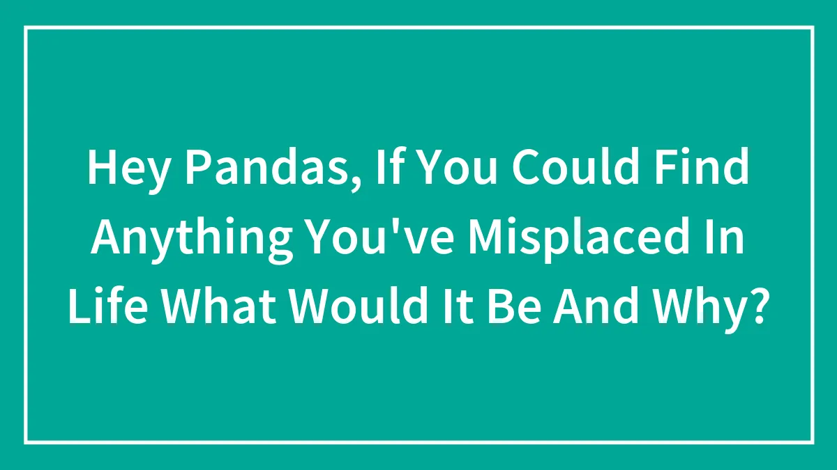 Hey Pandas, If You Could Find Anything You've Misplaced In Life What Would It Be And Why? (Closed)