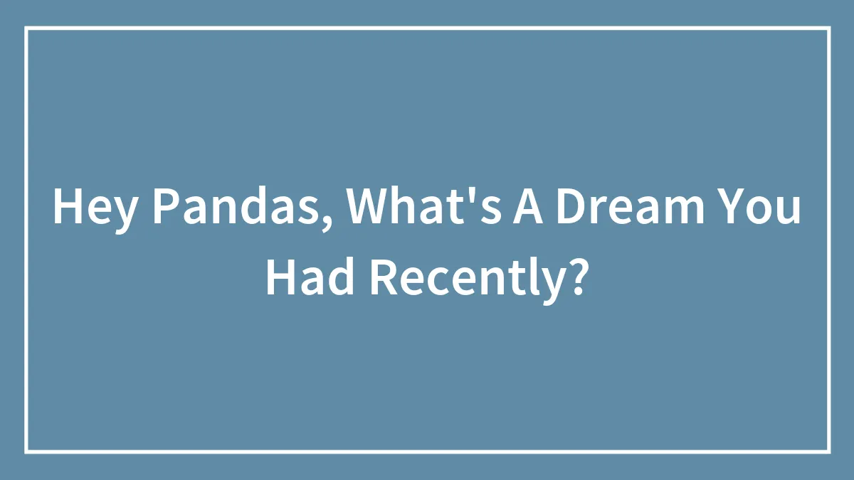 Hey Pandas, What's A Dream You Had Recently?
