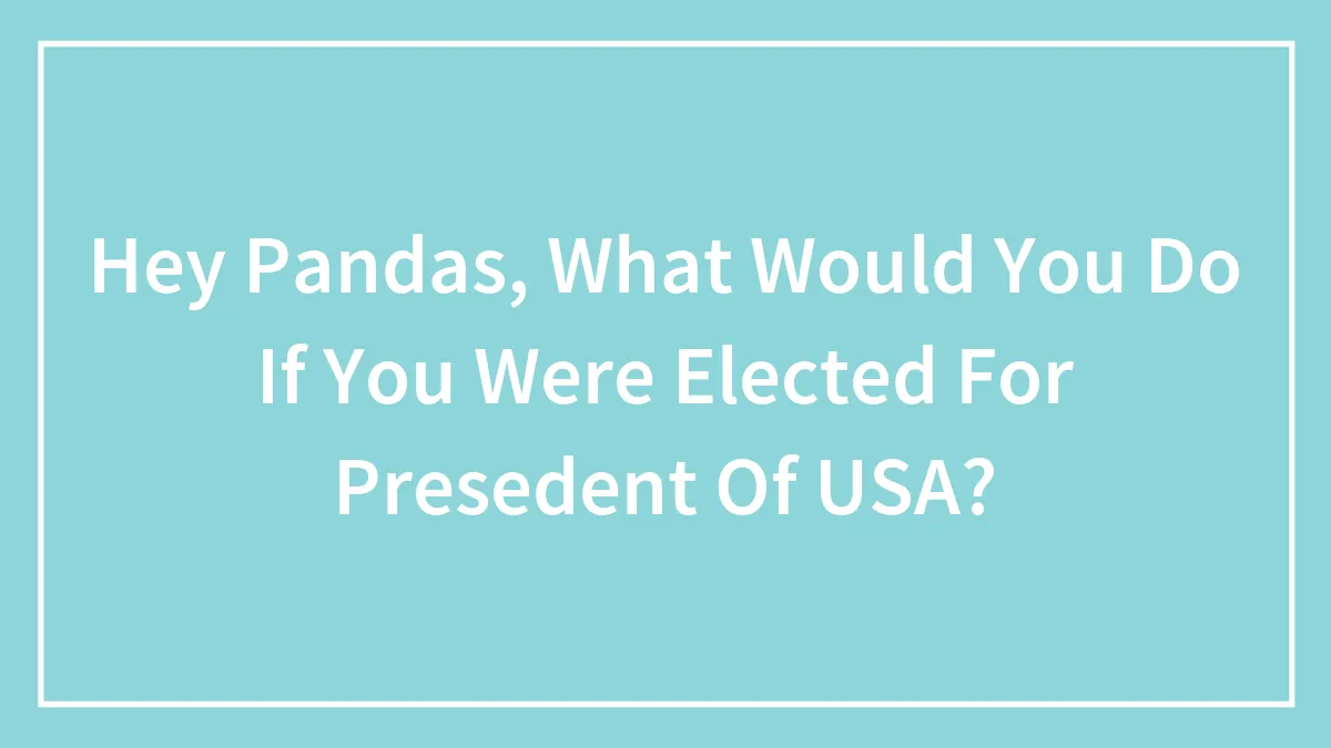 Hey Pandas, What Would You Do If You Were Elected For Presedent Of USA?