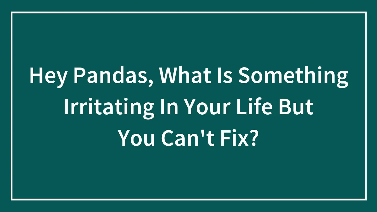 Hey Pandas, What Is Something Irritating In Your Life But You Can't Fix? (Closed)