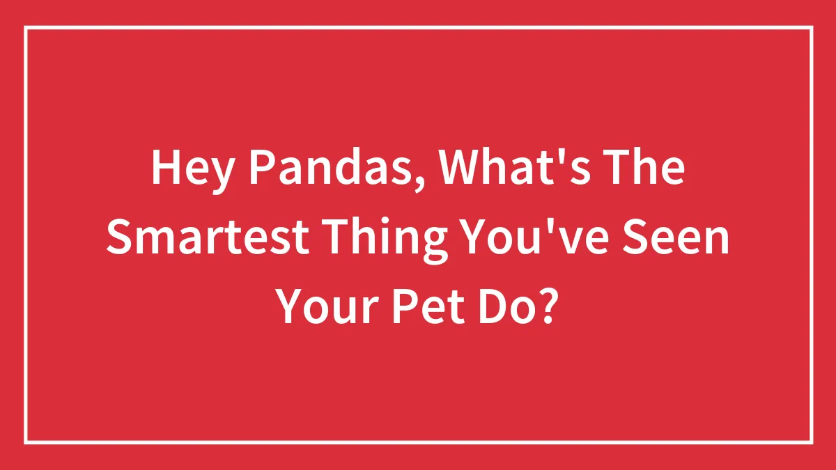 Hey Pandas, What's The Smartest Thing You've Seen Your Pet Do? (Closed)