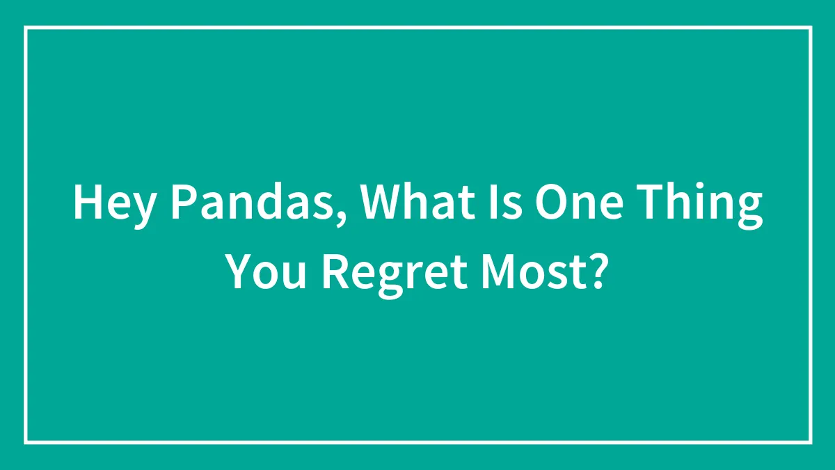 Hey Pandas, What Is One Thing You Regret Most?