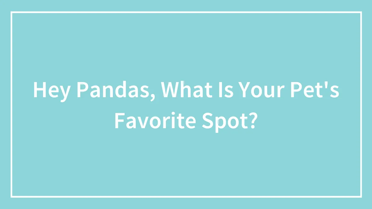 Hey Pandas, What Is Your Pet's Favorite Spot?