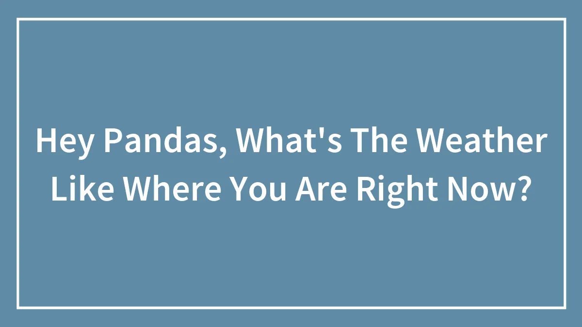 Hey Pandas, What's The Weather Like Where You Are Right Now? (Closed)