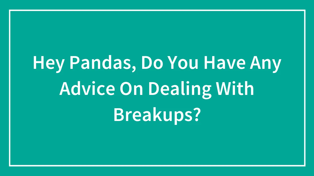 Hey Pandas, Do You Have Any Advice On Dealing With Breakups?