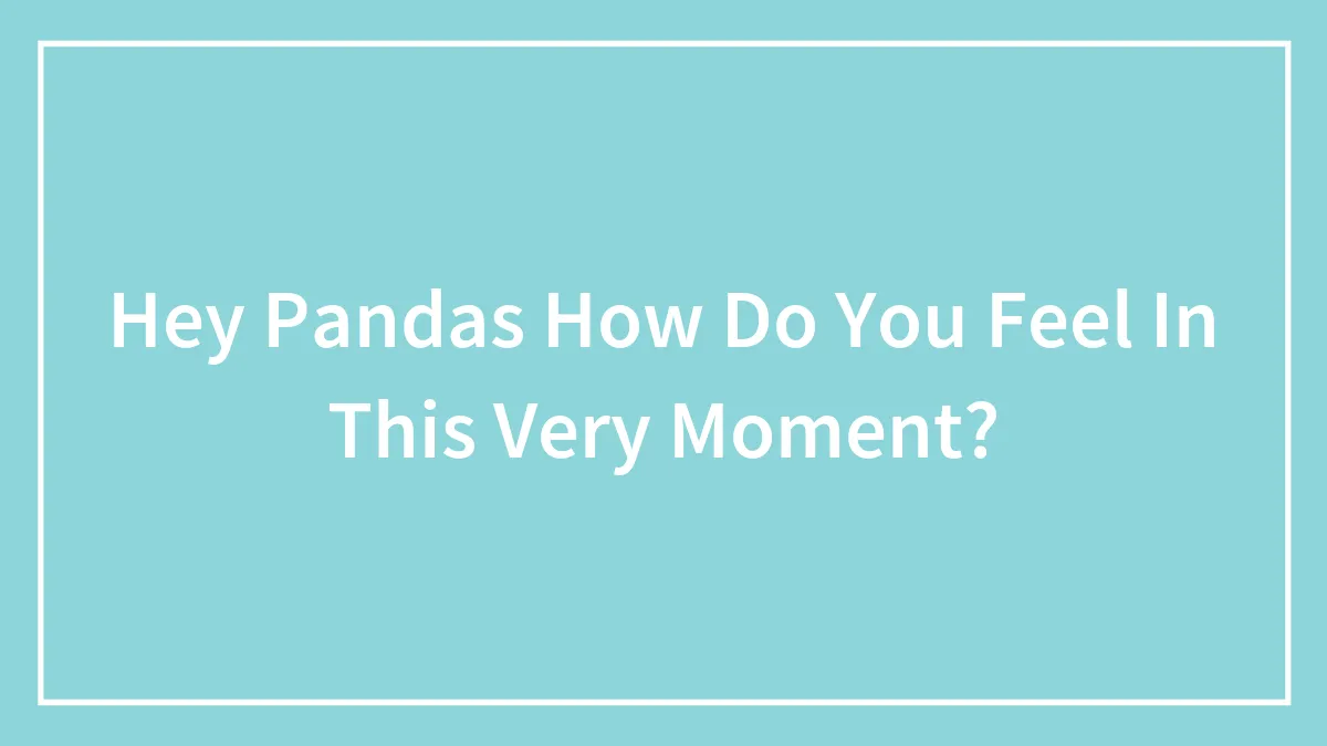 Hey Pandas How Do You Feel In This Very Moment?