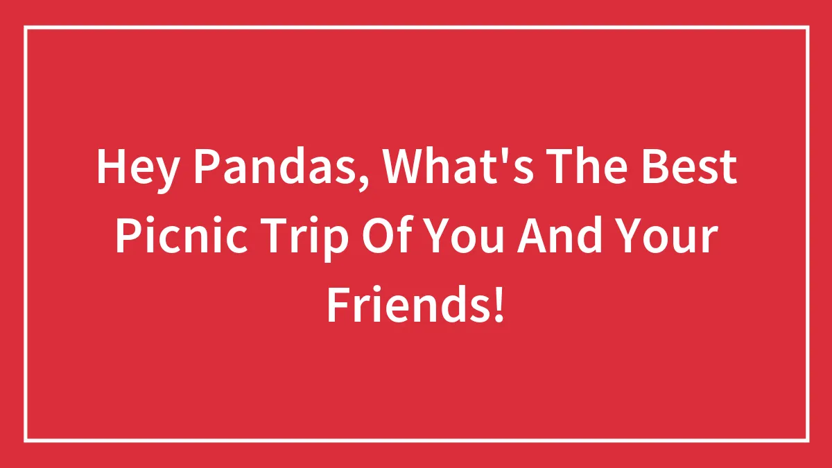 Hey Pandas, What's The Best Picnic Trip Of You And Your Friends!
