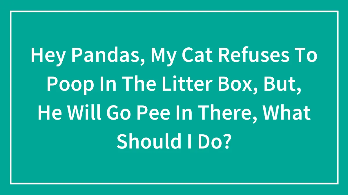 Hey Pandas, My Cat Refuses To Poop In The Litter Box, But, He Will Go Pee In There, What Should I Do?
