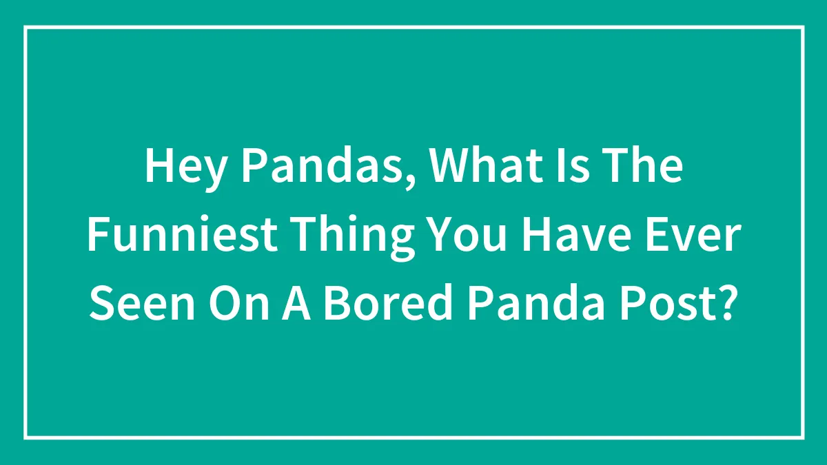 Hey Pandas, What Is The Funniest Thing You Have Ever Seen On A Bored Panda Post?