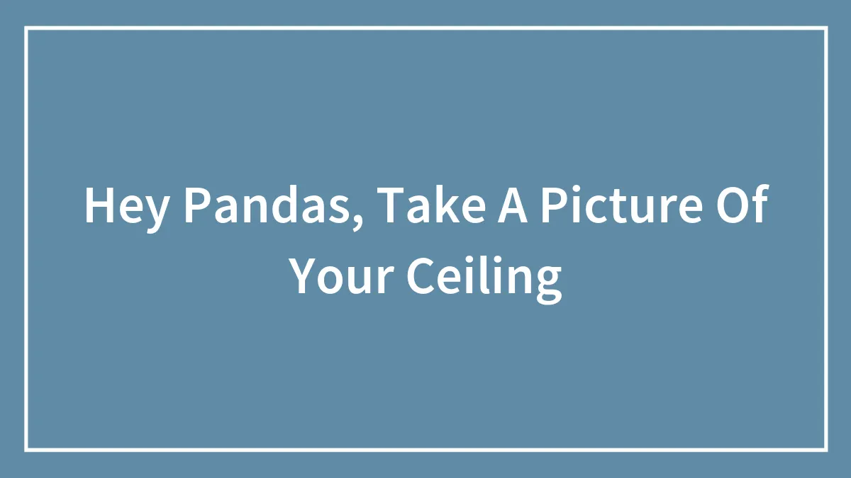 Hey Pandas, Take A Picture Of Your Ceiling