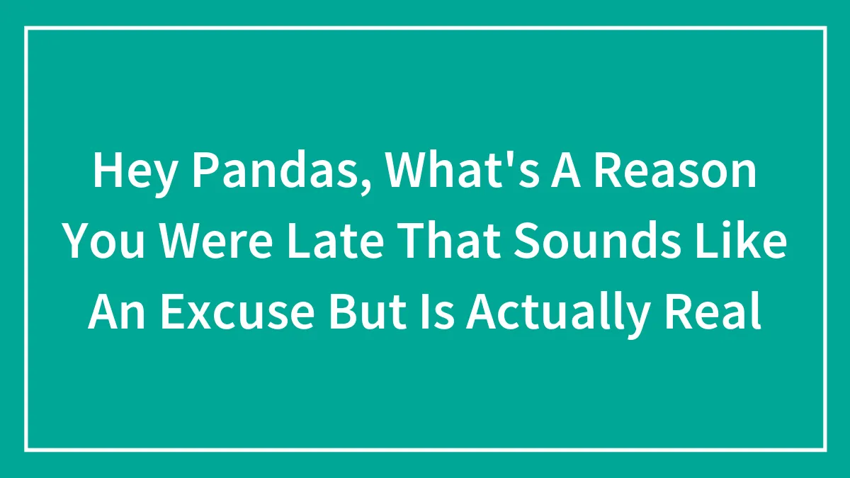 Hey Pandas, What's A Reason You Were Late That Sounds Like An Excuse But Is Actually Real