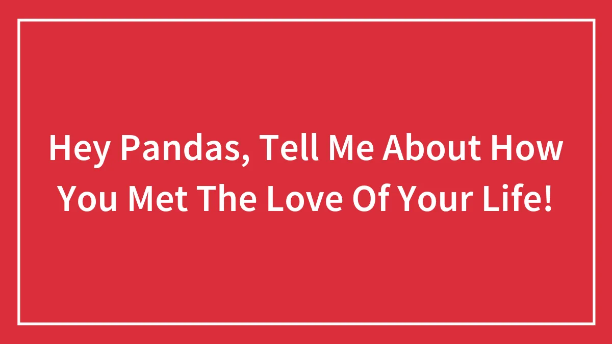 Hey Pandas, Tell Me About How You Met The Love Of Your Life!