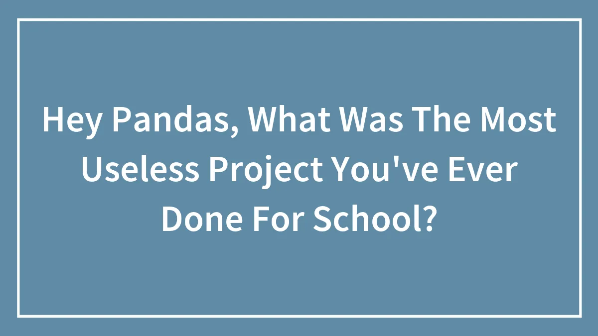 Hey Pandas, What Was The Most Useless Project You've Ever Done For School? (Closed)