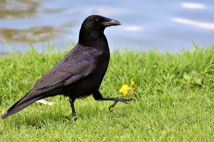 Someone Asked, ‘What’s A Cool Fun Fact That You Know?’, 40 People Delivered