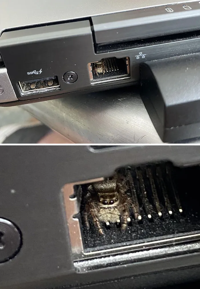 Gary Might Not Be A Conventional IT Specialist But By God He Gets Results