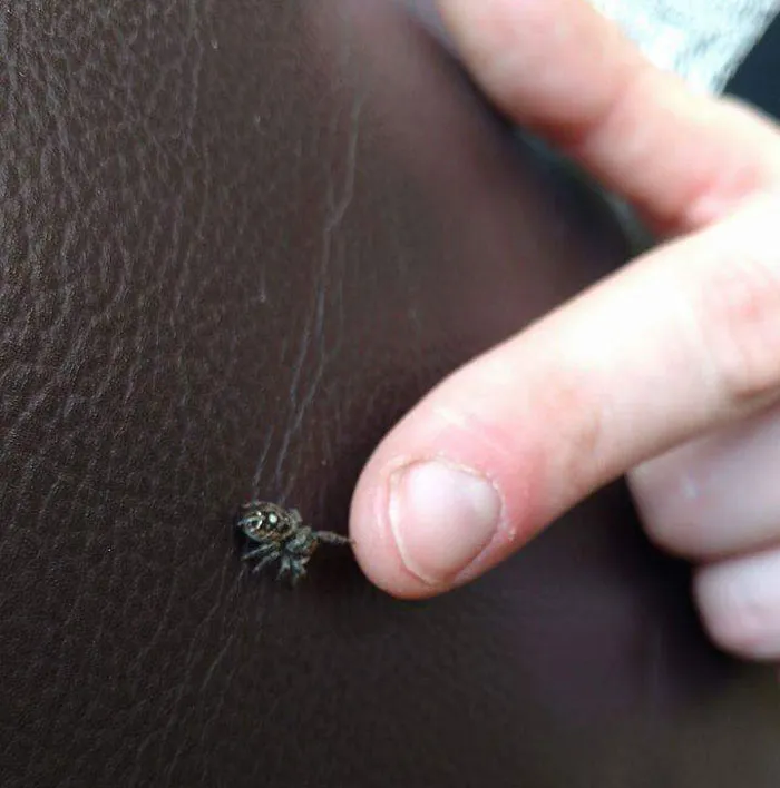 A True Spiderbro Knows How To Fistbump