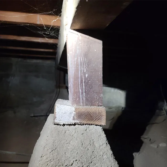20 Cosas horripilantes que estos inspectores estructurales vieron en el trabajo (nuevas fotos)