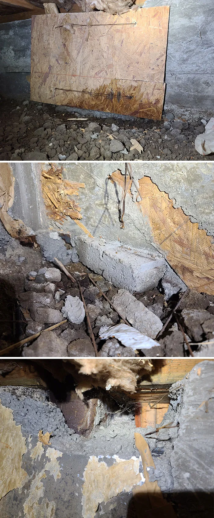 20 Cosas horripilantes que estos inspectores estructurales vieron en el trabajo (nuevas fotos)