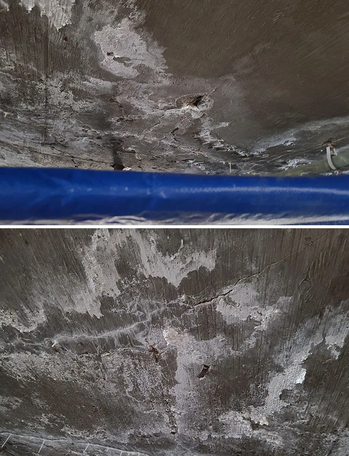 20 Cosas horripilantes que estos inspectores estructurales vieron en el trabajo (nuevas fotos)