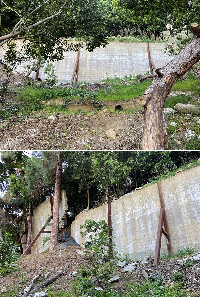 20 Cosas horripilantes que estos inspectores estructurales vieron en el trabajo (nuevas fotos)