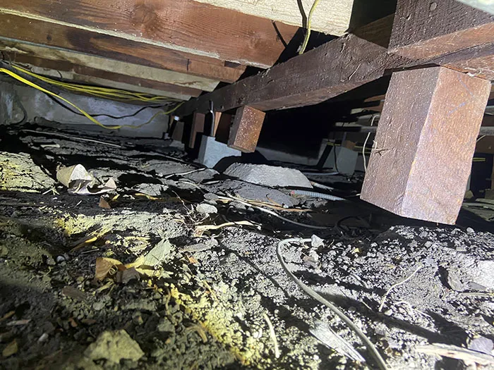 35 Times These Structural Inspectors Spotted Horrifying Things While On The Job (New Pics)