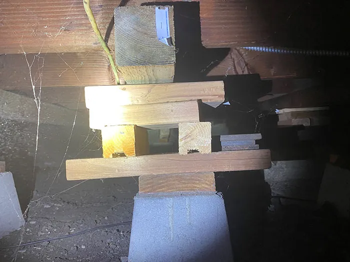 20 Cosas horripilantes que estos inspectores estructurales vieron en el trabajo (nuevas fotos)