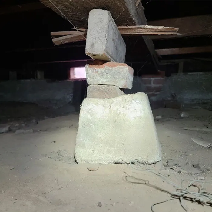 20 Cosas horripilantes que estos inspectores estructurales vieron en el trabajo (nuevas fotos)