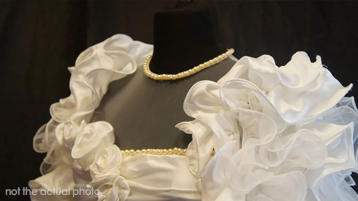 Bride With A Distinct Fashion Style Chooses A Dress Her MIL Doesn't Like, MIL Buys A Dress Herself And Her Son Is Furious