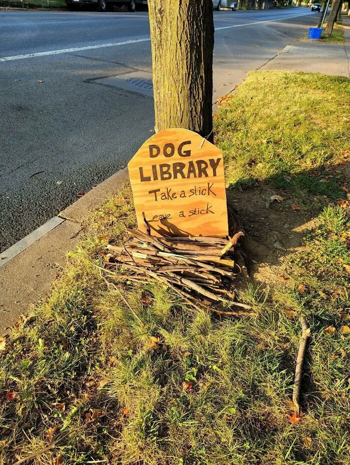 Dog Library