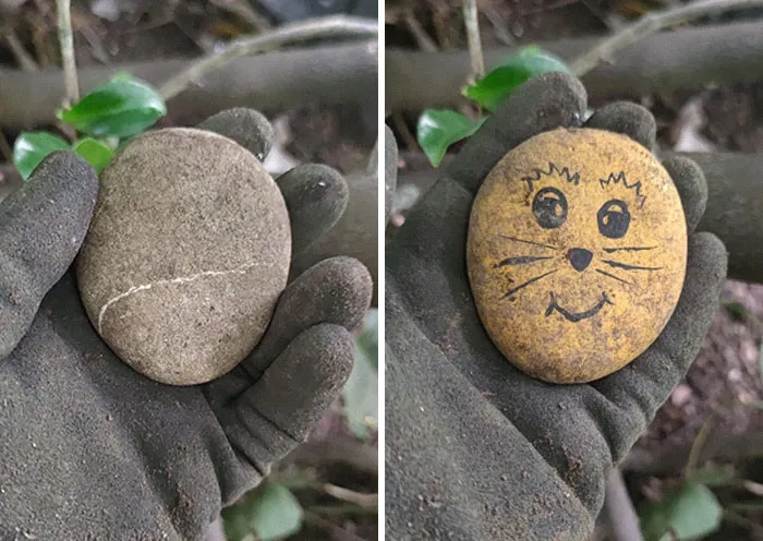Estoy visitando a mi familia que acaba de comprar una nueva casa. Les ayudé a ordenar el jardín y encontré este guijarro en uno de los arbustos. Le di la vuelta y... jajaja
