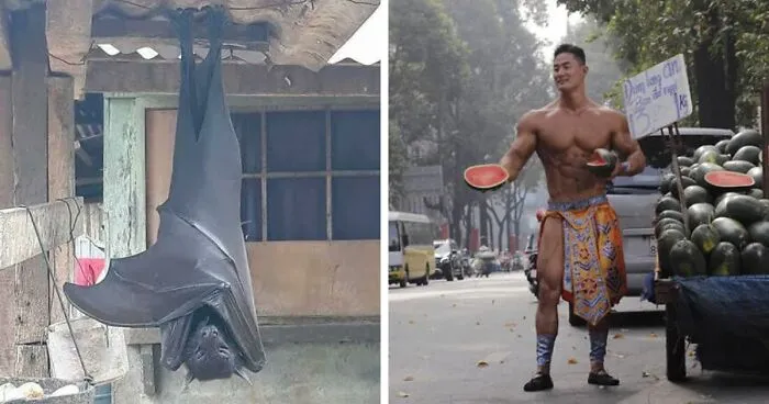 50 Times People Spotted 'Absolute Units' And Shared Them In This Online Community (New Pics)