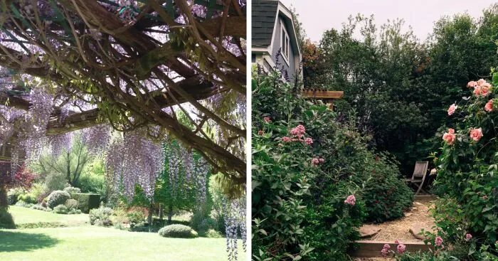 Hey Pandas, Post A Picture Of Your Garden (Closed)