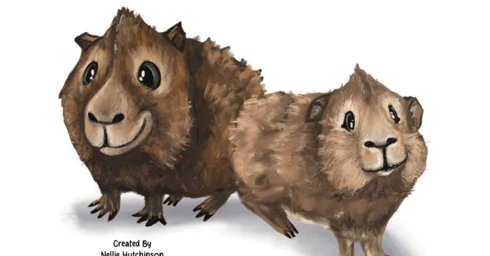 I Self-Published My Own Book "The Adventures Of Guinea Butt And Lacy Loo" (5 Pics)