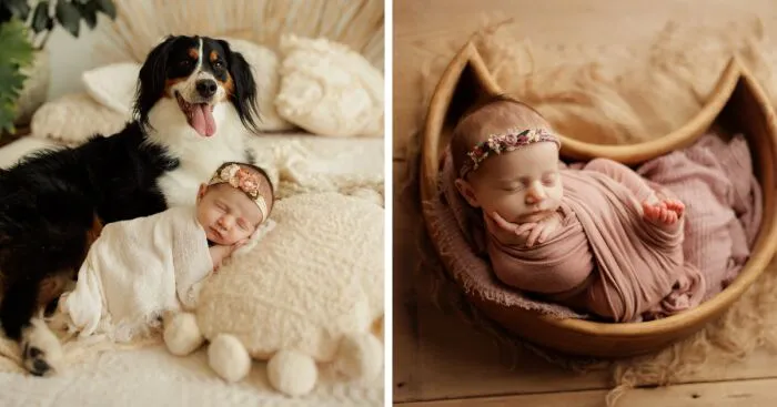 I Love Taking Photos Of Newborn Babies And Their Dogs (10 Pics)