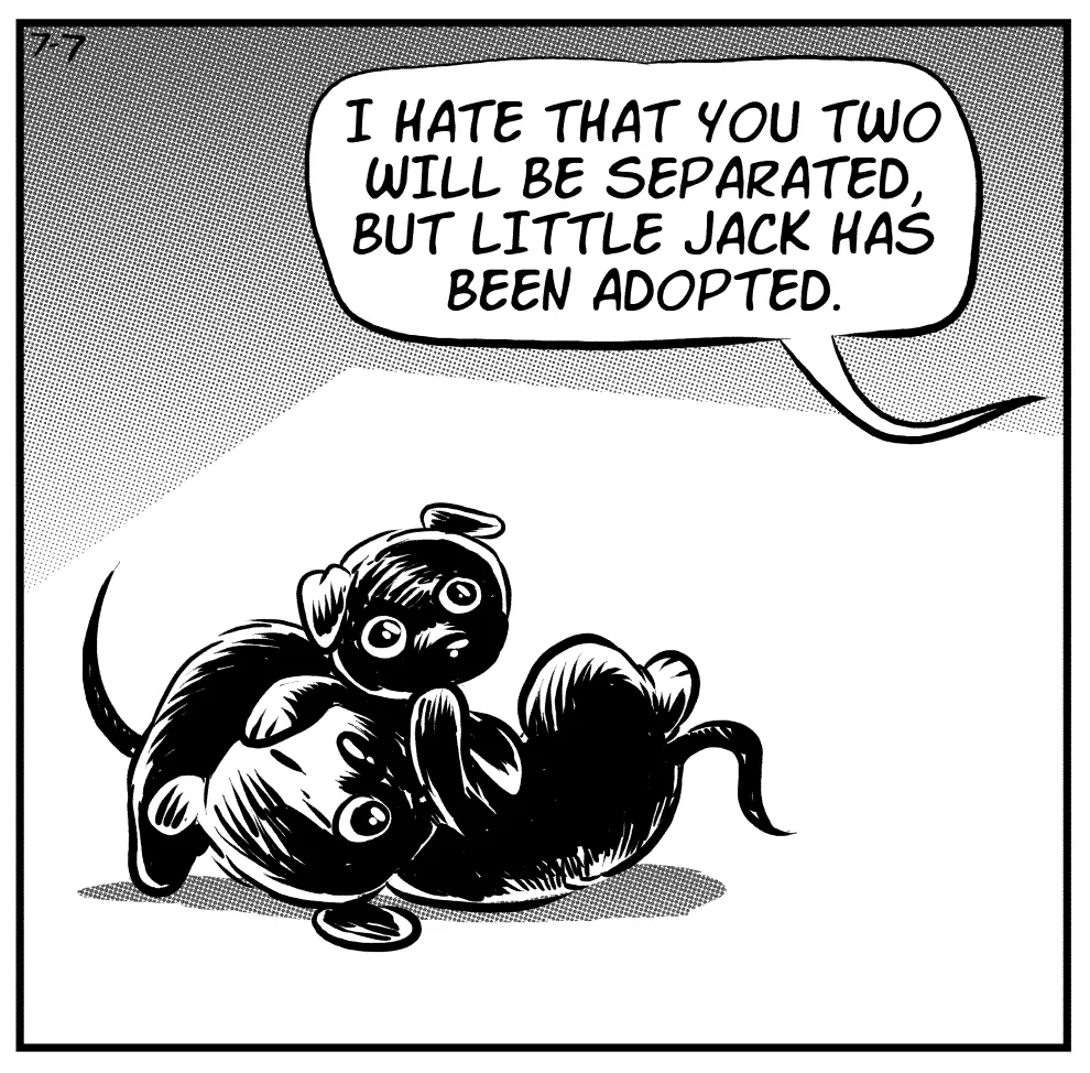 Writing Comics About Foster Dogs Isn't Always Funny