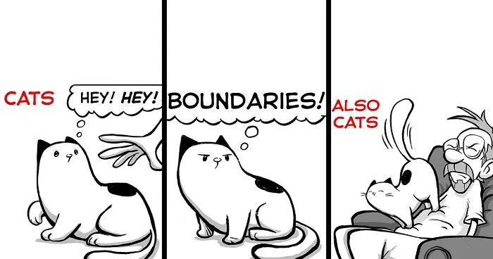 Daily Struggles And Life With A Cat: 30 Funny Comics By “How To Cat” (New Pics)