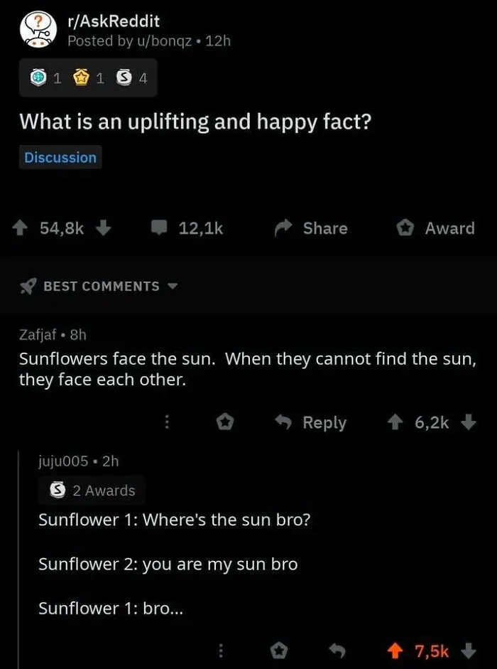 50 Times A Comment Was So Good, It Made Its Way Onto This Facebook Group