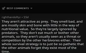 50 Times A Comment Was So Good, It Made Its Way Onto This Facebook Group